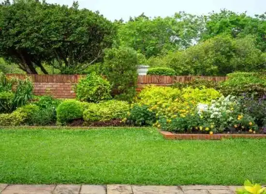 landscaping services Wabasso